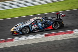 9	BINGO RACING with LM corsa	Shinji Takei	Ukyo Sasahara	Ferrari 296 GT3 | SRO Motorsport Group