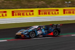 9	BINGO RACING with LM corsa	Shinji Takei	Ukyo Sasahara	Ferrari 296 GT3 | SRO Motorsport Group