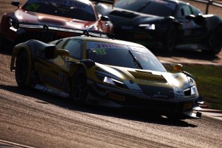 18	TEAM UPGARAGE with ACR	AKITA	Takashi Kobayashi	Ferrari 296 GT3 | SRO Motorsport Group