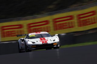 555	MAEZAWA RACING	Yusaku Maezawa	Naoki Yokomizo	Ferrari 296 GT3 | SRO Motorsport Group