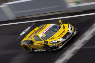 18	TEAM UPGARAGE with ACR	AKITA	Takashi Kobayashi	Ferrari 296 GT3 | SRO Motorsport Group
