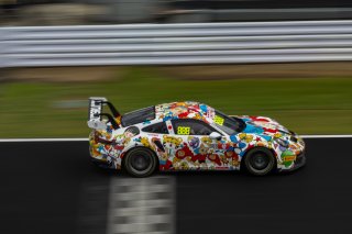 888	BINGO RACING	Tiger Wu	Tiger Wu	Porsche 911 GT3 Cup 992 | SRO Motorsport Group