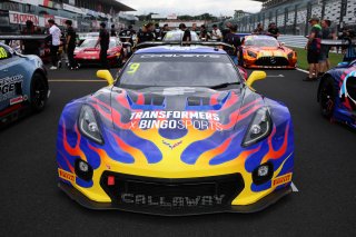 9	BINGO RACING with LM corsa	Shinji Takei	Ukyo Sasahara	Ferrari 296 GT3										 | SRO Motorsport Group
