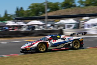 181	NORIK RACING	NORIK	Taku Bamba	Ferrari 296 GT3 EVO | SRO Motorsport Group