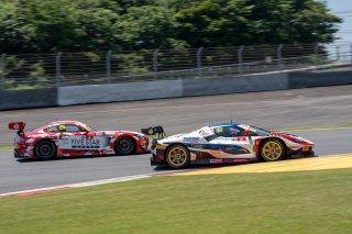 181	NORIK RACING	NORIK	Taku Bamba	Ferrari 296 GT3 EVO | SRO Motorsport Group